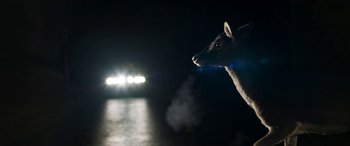 Movie still from “Border” (2018), directed by Ali Abbasi – A deer standing in front of a car at night; Extreme Close Up shot, Low angle
