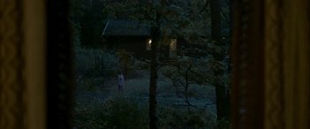 Movie still from “Border” (2018), directed by Ali Abbasi – A person standing in front of a cabin in the woods at night; Extreme Wide shot, High angle
