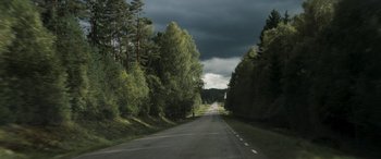 Movie still from “Border” (2018), directed by Ali Abbasi – A road that has some trees on the side of the road; Extreme Wide shot, High angle