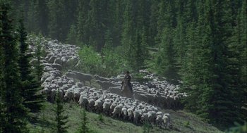 Movie still from “Brokeback Mountain” (2005), directed by Ang Lee – A herd of sheep being herded by a man on a horse; Extreme Wide shot, High angle