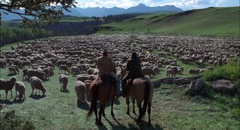 Movie still from “Brokeback Mountain” (2005), directed by Ang Lee – Two men on horseback herding a large herd of sheep; Extreme Wide shot, High angle