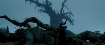 Movie still from “Brotherhood of the Wolf” (2001), directed by Christophe Gans – A large tree in the middle of the night; Extreme Wide shot, Low angle