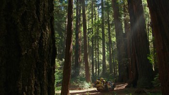 Movie still from “Bumblebee” (2018), directed by Travis Knight – A motorcycle parked in the middle of a forest; Extreme Wide shot, Low angle