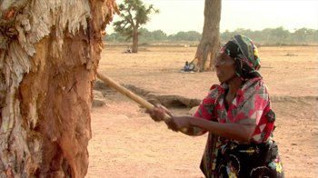 Movie still from “Cameraperson” (2016), directed by Kirsten Johnson – An older woman holding a baseball bat in front of a tree; Medium shot, Low angle