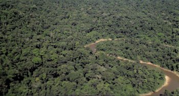 Movie still from “Cannibal Holocaust” (1980), directed by Ruggero Deodato – An aerial view of a road in the middle of a dense forest; Extreme Wide shot, High angle