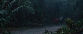 Movie still from “Charlie St. Cloud” (2010), directed by Burr Steers – A person walking in the rain near a forest; Extreme Wide shot, High angle