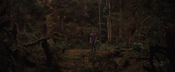 Movie still from “Charlie St. Cloud” (2010), directed by Burr Steers – A man standing in the middle of a forest; Wide shot, Over the shoulder angle
