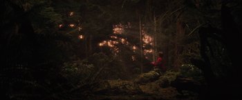 Movie still from “Charlie St. Cloud” (2010), directed by Burr Steers – A person standing in the middle of a forest at night; Extreme Wide shot, High angle