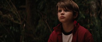 Movie still from “Charlie St. Cloud” (2010), directed by Burr Steers – A boy in a red jacket looking up at the sky; Close Up shot, Low angle
