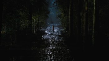Movie still from “Cinderella” (2015), directed by Kenneth Branagh – A person is standing in the middle of a dark forest; Extreme Wide shot, High angle
