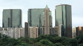 Movie still from “Citizenfour” (2014), directed by Laura Poitras – A view of a city skyline with trees in the foreground; Extreme Wide shot, Low angle