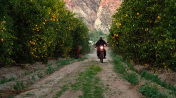 Movie still from “Cobra” (1986), directed by George P. Cosmatos – A person riding a motorcycle down a dirt road near trees; Extreme Wide shot, High angle