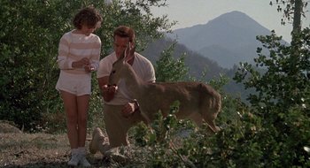 Movie still from “Commando” (1985), directed by Mark L. Lester – A man and a woman feeding a deer in a wooded area; Medium shot, Low angle