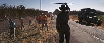 Movie still from “Cool Hand Luke” (1967), directed by Stuart Rosenberg – A group of men standing on the side of a road; Wide shot, Low angle