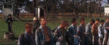 Movie still from “Cool Hand Luke” (1967), directed by Stuart Rosenberg – A group of men standing next to each other in a field; Wide shot, Low angle