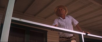 Movie still from “Cool Hand Luke” (1967), directed by Stuart Rosenberg – An older man wearing a straw hat standing on a porch; Medium shot, Low angle