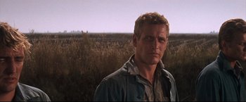 Movie still from “Cool Hand Luke” (1967), directed by Stuart Rosenberg – A person in a field near a field; Close Up shot, Low angle