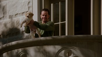 Movie still from “Daddy's Home” (2015), directed by Sean Anders – A man holding a dog on top of a railing; Wide shot, Low angle