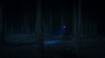 Movie still from “Daddy's Home 2” (2017), directed by Sean Anders – A person with a flashlight in the woods at night; Extreme Wide shot, Low angle