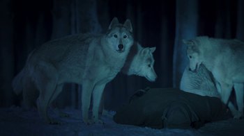 Movie still from “Daddy's Home 2” (2017), directed by Sean Anders – A couple of white dogs standing next to each other on snow covered ground at night; Wide shot, High angle