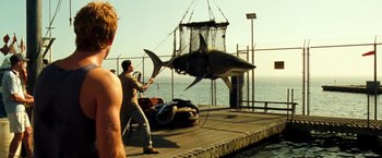 Movie still from “Deep Blue Sea” (1999), directed by Renny Harlin – A man holding a fishing net next to a large shark; Medium shot, Low angle