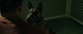 Movie still from “Dog” (2022), directed by Reid Carolin – A dog wearing a muzzle; Close Up shot, Over the shoulder angle