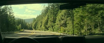 Movie still from “Dog” (2022), directed by Reid Carolin – A view from a car of a road with trees on both sides of the road; Extreme Wide shot, High angle