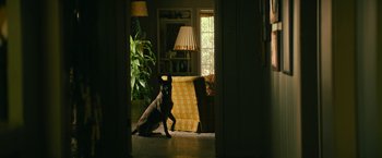 Movie still from “Dog” (2022), directed by Reid Carolin – A dog sitting on the floor of a living room next to a couch; Wide shot, High angle