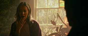 Movie still from “Dog” (2022), directed by Reid Carolin – A woman standing in front of a window with a plant; Close Up shot, Low angle