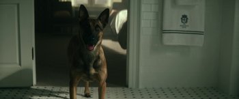 Movie still from “Dog” (2022), directed by Reid Carolin – A dog standing on a tiled floor in front of a door; Close Up shot, High angle