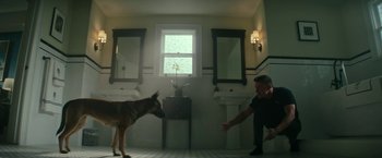 Movie still from “Dog” (2022), directed by Reid Carolin – A man and a dog in a bathroom with two sinks; Wide shot, High angle