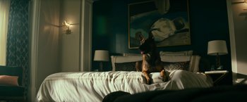 Movie still from “Dog” (2022), directed by Reid Carolin – A dog sitting on a bed in a room; Wide shot, Low angle