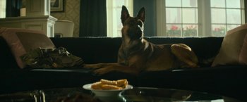 Movie still from “Dog” (2022), directed by Reid Carolin – A dog laying on a couch next to a plate of food; Medium shot, Low angle