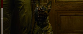Movie still from “Dog” (2022), directed by Reid Carolin – A dog wearing a leather muzzle and harness; Close Up shot, Low angle