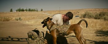 Movie still from “Dog” (2022), directed by Reid Carolin – A man and a dog in a field with a backpack; Wide shot, Over the shoulder angle