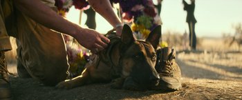 Movie still from “Dog” (2022), directed by Reid Carolin – A german shepherd laying on the ground being petted by a person; Close Up shot, High angle