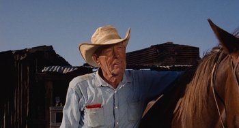 Movie still from “Easy Rider” (1969), directed by Dennis Hopper – An older man wearing a cowboy hat and a blue shirt; Medium shot, Low angle