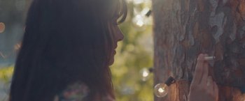 Movie still from “Endings, Beginnings” (2019), directed by Drake Doremus – A woman looking out a window at a tree; Extreme Close Up shot, Low angle