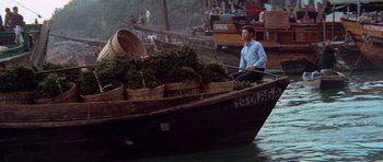 Movie still from “Enter the Dragon” (1973), directed by Robert Clouse – A man sitting in a boat filled with baskets of plants; Wide shot, High angle