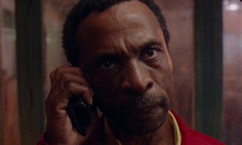 A person talking on a cell phone