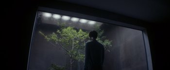 Movie still from “Ex Machina” (2014), directed by Alex Garland – A man standing in front of a tree in the dark; Wide shot, Low angle
