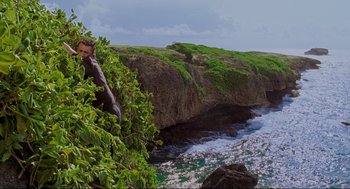 Movie still from “Forgetting Sarah Marshall” (2008), directed by Nicholas Stoller – A man standing on top of a cliff next to a body of water; Extreme Wide shot, High angle