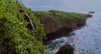 Movie still from “Forgetting Sarah Marshall” (2008), directed by Nicholas Stoller – A man climbing a tree on a cliff by the ocean; Extreme Wide shot, High angle