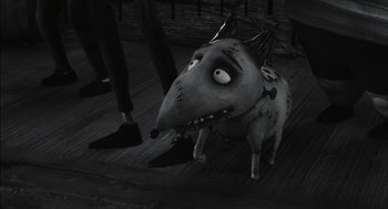 A black and white photo of a dog with scars on it's face