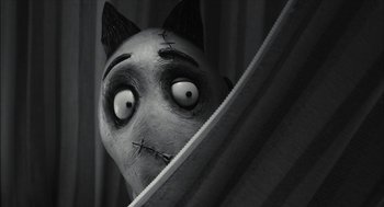 Movie still from “Frankenweenie” (2012), directed by Tim Burton – A creepy looking cat with a bandage on its head; Close Up shot, Low angle