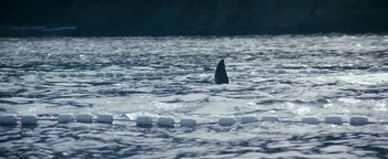 Movie still from “Free Willy” (1993), directed by Simon Wincer – A shark is swimming in a body of water; Extreme Wide shot, High angle