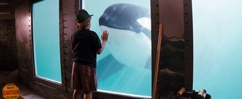 Movie still from “Free Willy” (1993), directed by Simon Wincer – A person standing in front of an aquarium looking at an orca; Medium shot, Over the shoulder angle