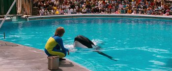 Movie still from “Free Willy” (1993), directed by Simon Wincer – A person watching a whale in the water; Wide shot, High angle