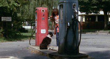 Movie still from “Friday the 13th” (1980), directed by Sean S. Cunningham – A dog sitting next to an old gas pumps; Wide shot, High angle