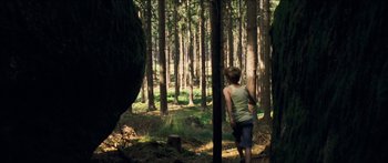 Movie still from “Goodnight Mommy” (2014), directed by Severin Fiala – A person standing in the middle of a forest; Wide shot, Over the shoulder angle